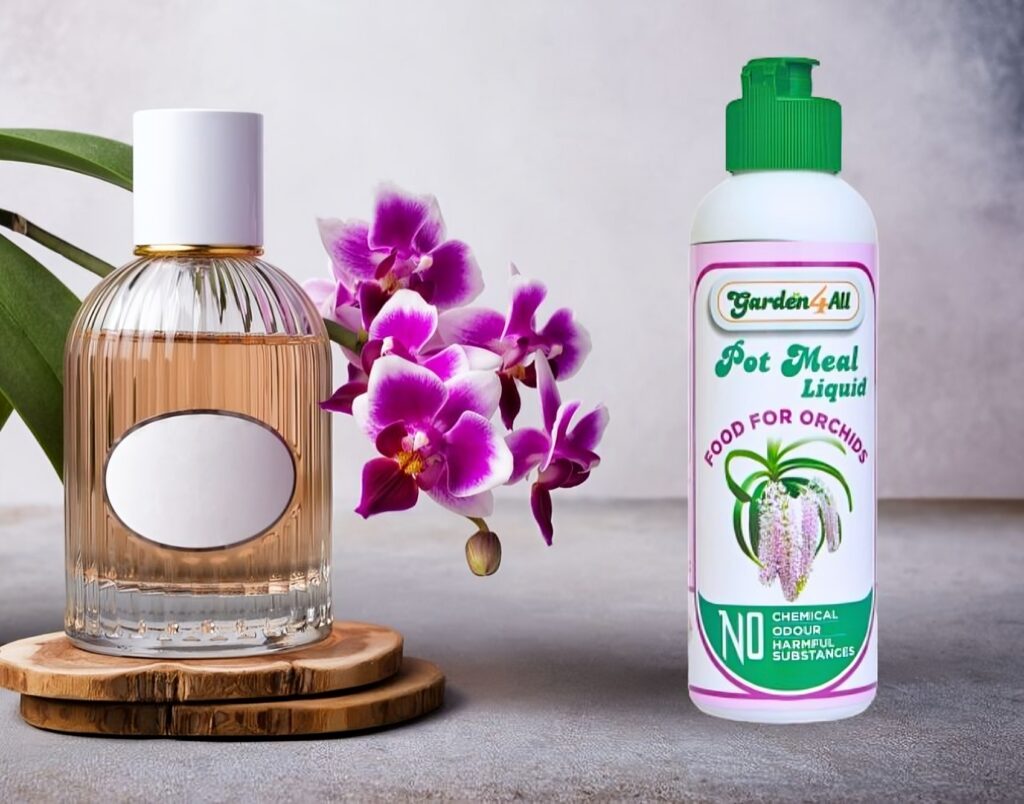 POT MEAL LIQUID FOR ORCHIDS - Best liquid fertilizer or growth booster for orchid Plants.