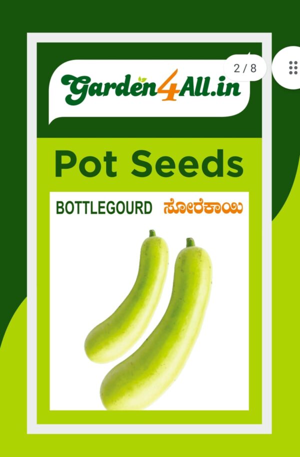 BOTTLE GOURD POT SEEDS