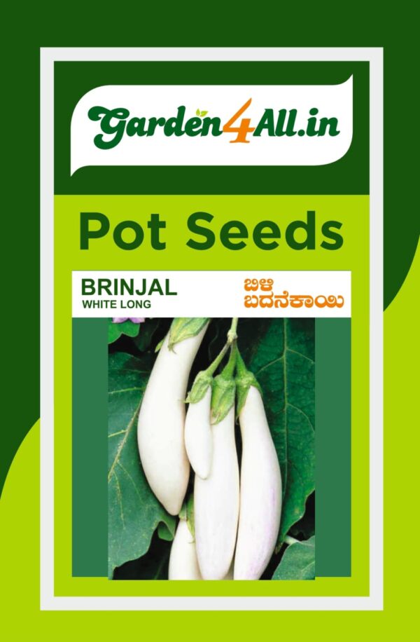 BRINJAL WHITE LONG SEEDS