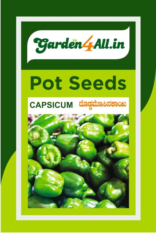 CAPSICUM SEEDS