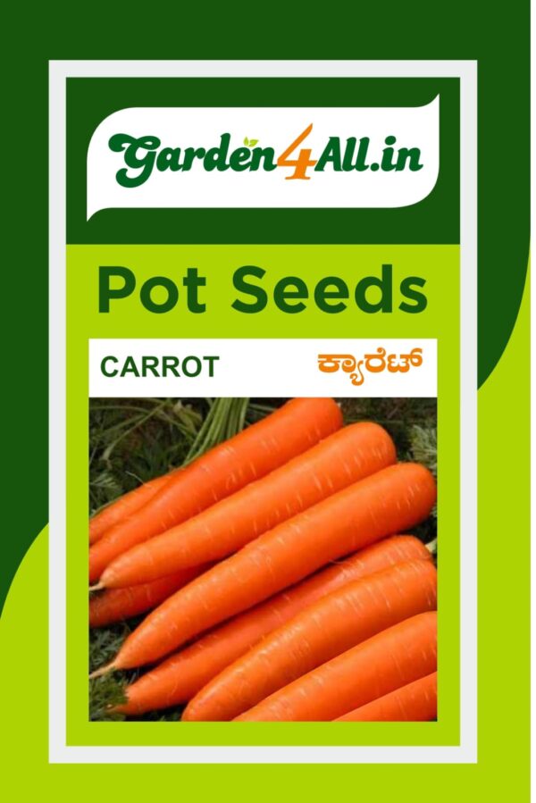 CARROT SEEDS