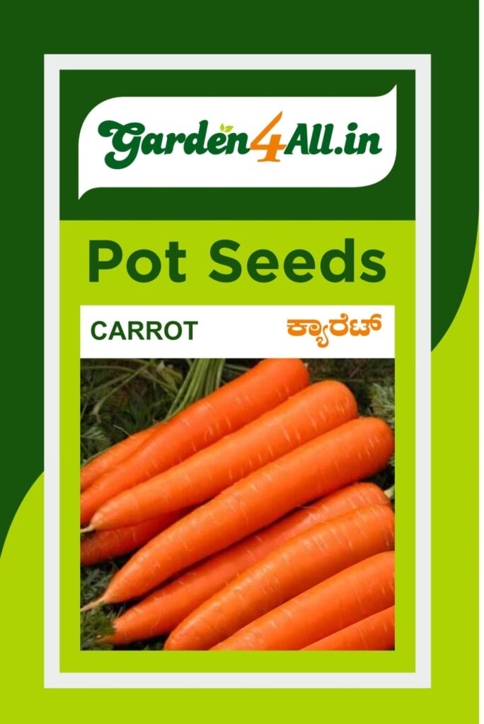 CARROT SEEDS