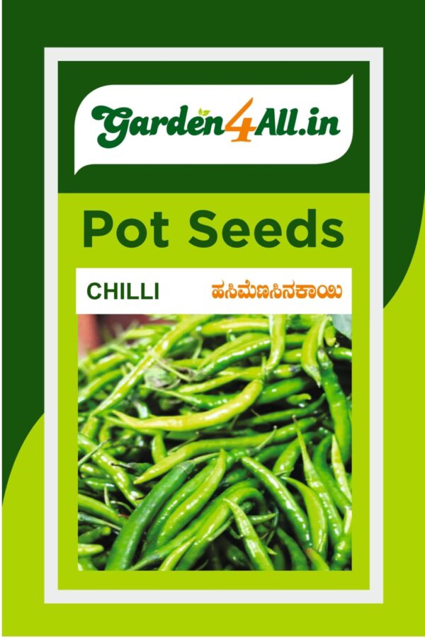 CHILLI SEEDS
