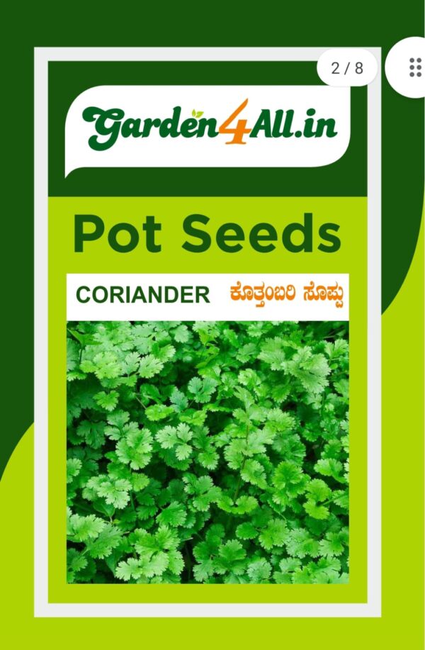 CORIANDER SEEDS
