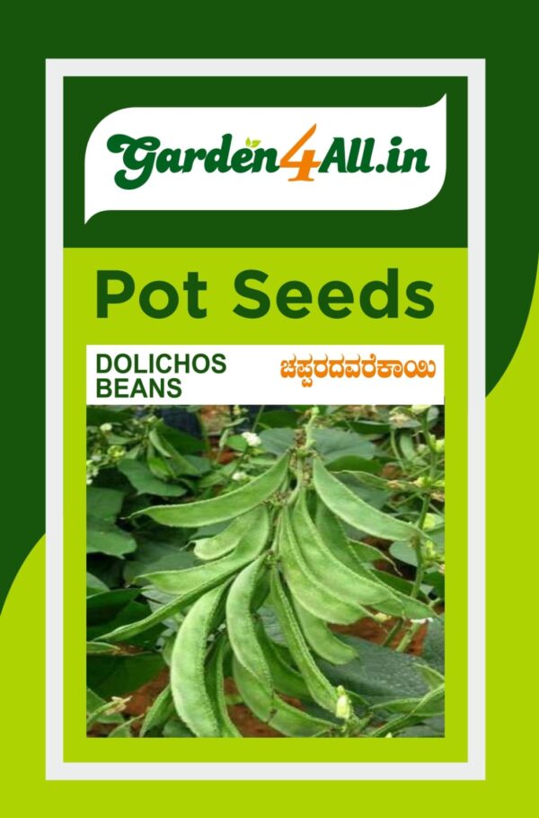 DOLICHOS BEANS SEEDS