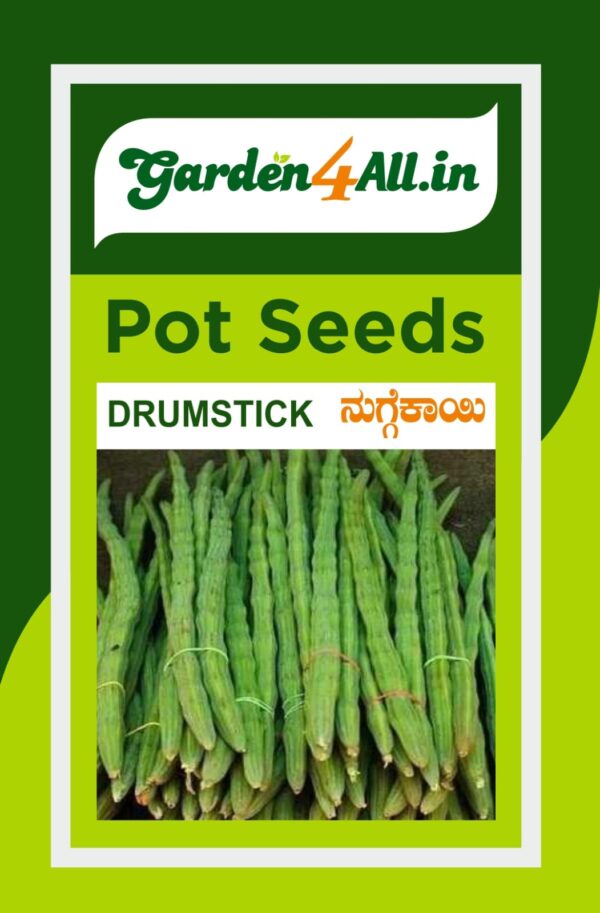 DRUMSTICK SEEDS