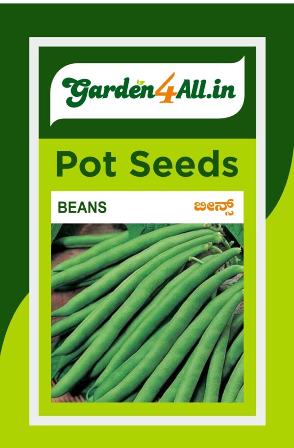 FRENCH BEANS SEEDS