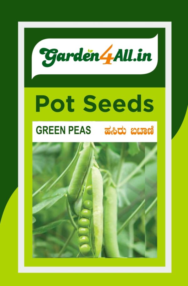 GREEN PEAS SEEDS