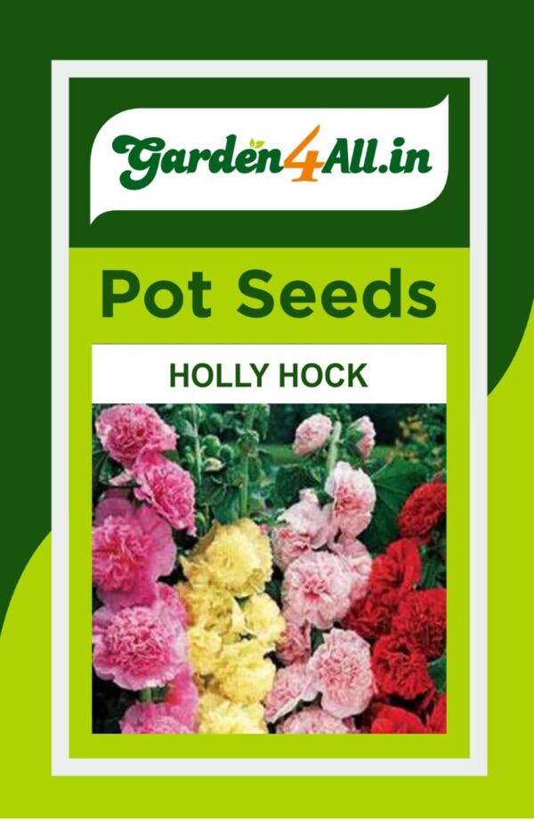 HOLLY HOCK FLOWER SEEDS