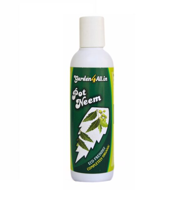 POT NEEM - Neem oil as a preventive against garden insects