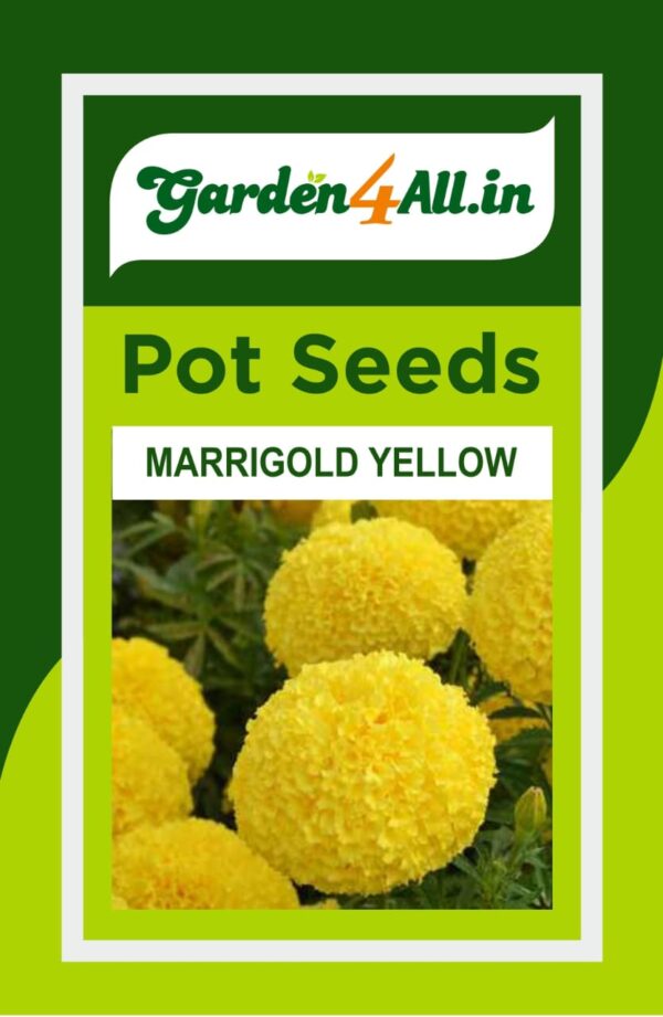 MARRIGOLD FLOWER SEEDS