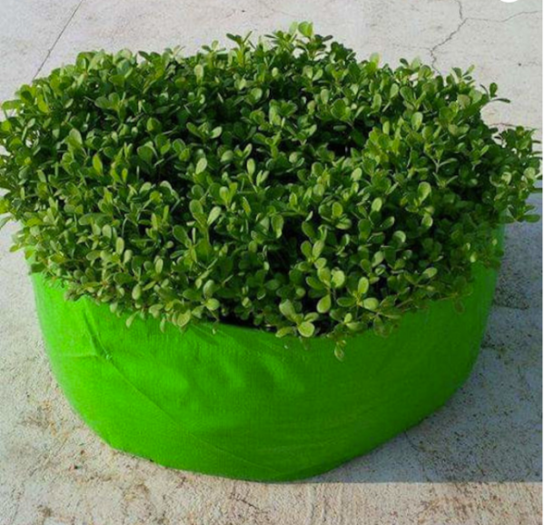 HDPE Grow bags 18*6 Inches 320 GSM UV treated bags. Top quality grow bags durable up to 5-6 years - Image 2