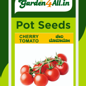 CHERRY TOMATO SEEDS