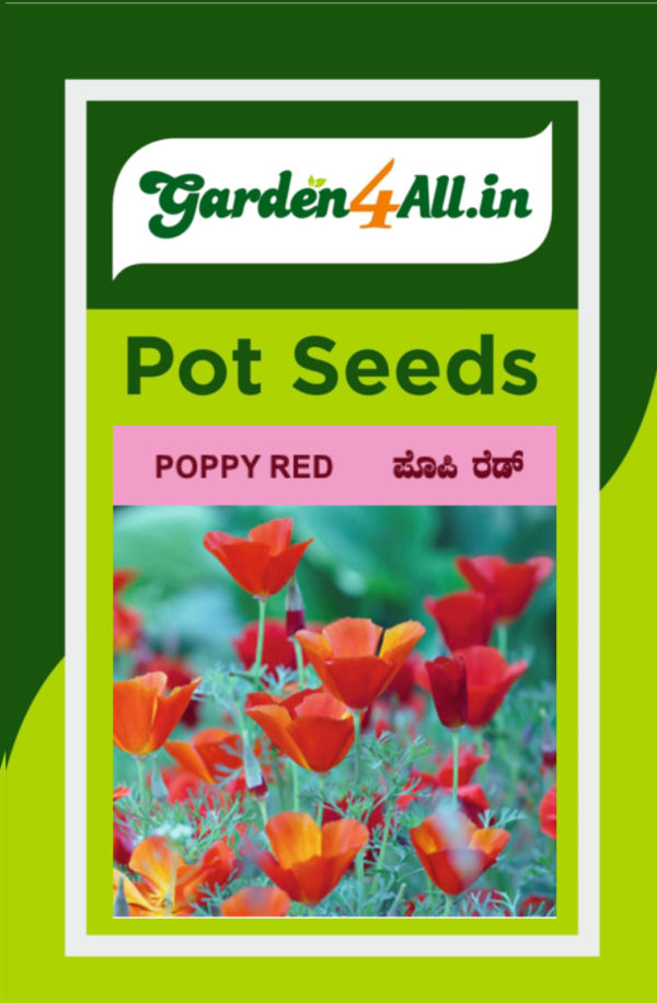 POPPY RED FLOWER SEEDS