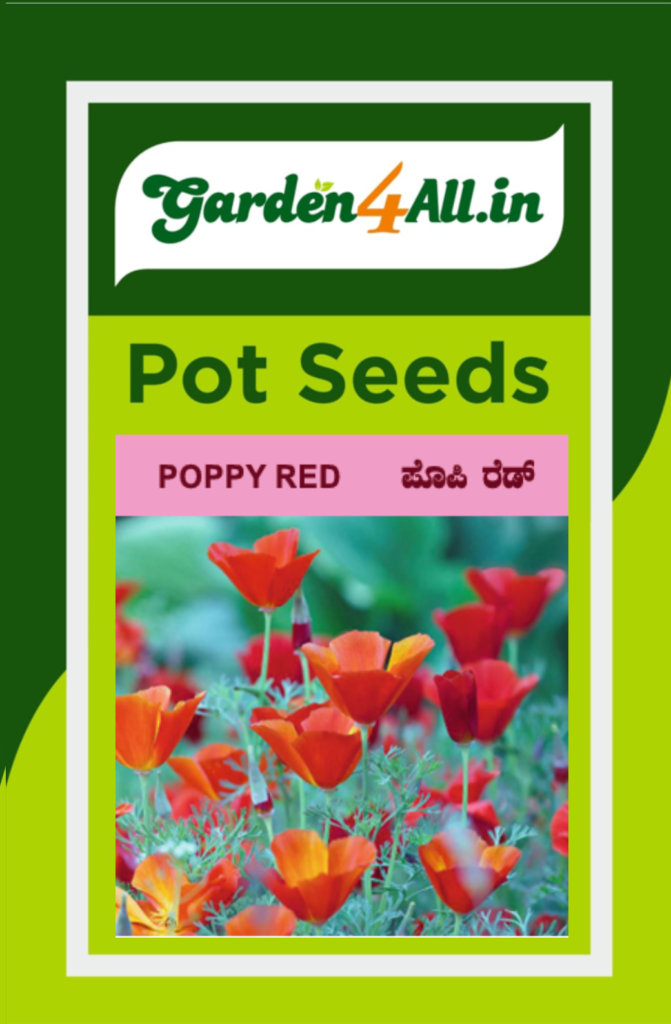 POPPY RED FLOWER SEEDS