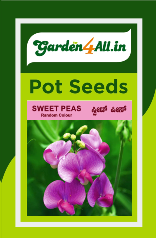 SWEET PEAS FLOWER SEEDS