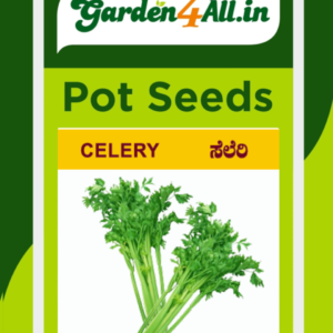CELERY SEEDS