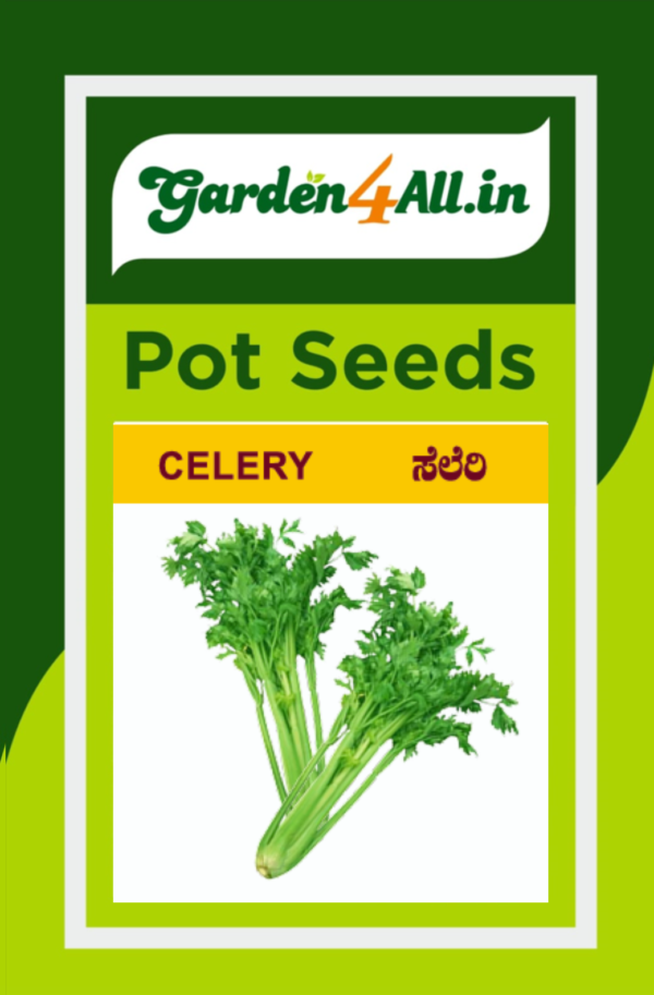 CELERY SEEDS