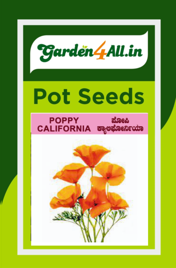 POPPY CALIFORNIA FLOWER SEEDS