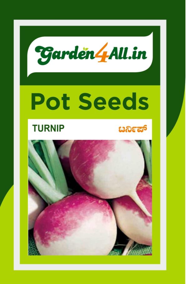 TURNIP SEEDS