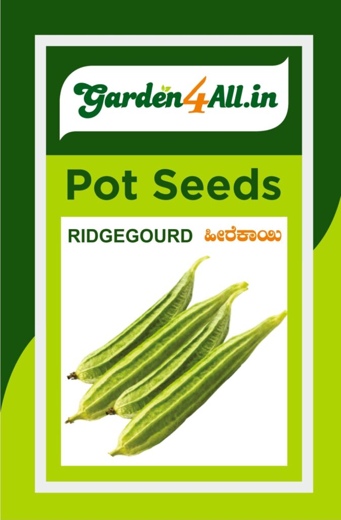 RIDGEGOURD SEEDS