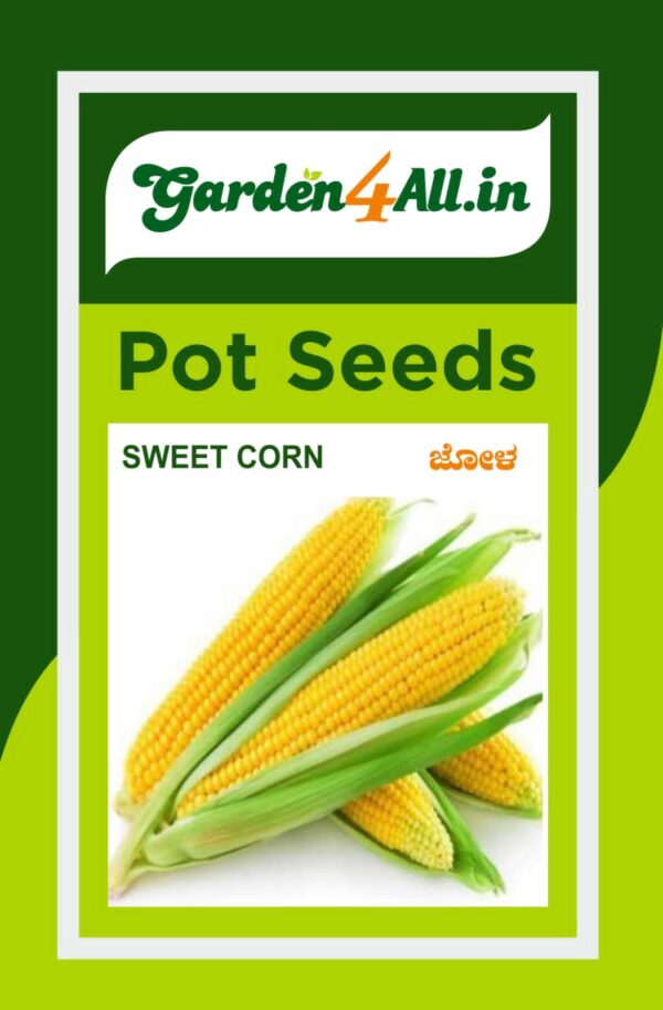 SWEET CORN SEEDS