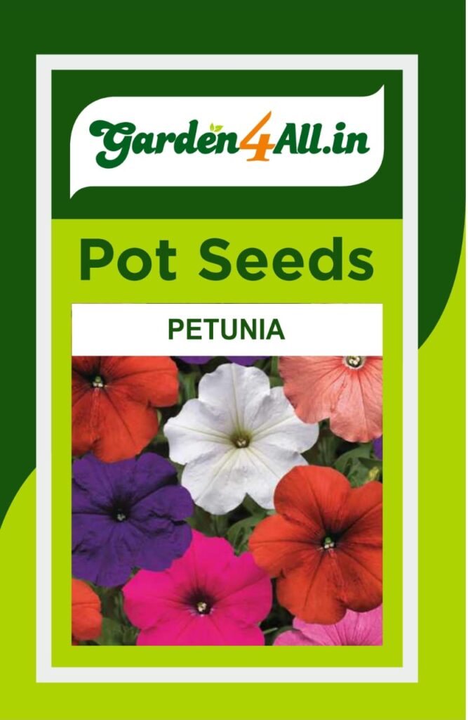 PETUNIA FLOWER SEEDS