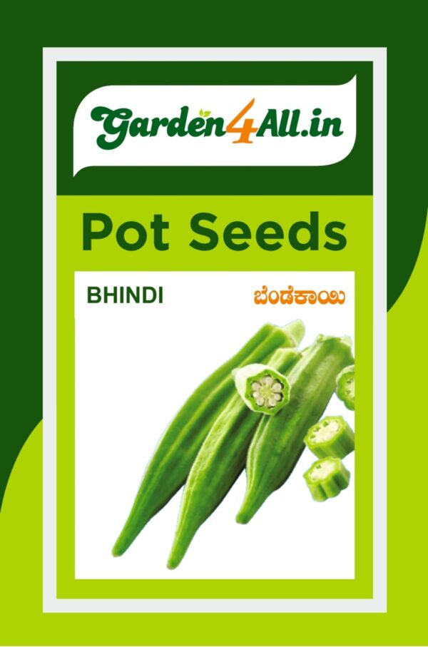 BHINDI or OKRA SEEDS