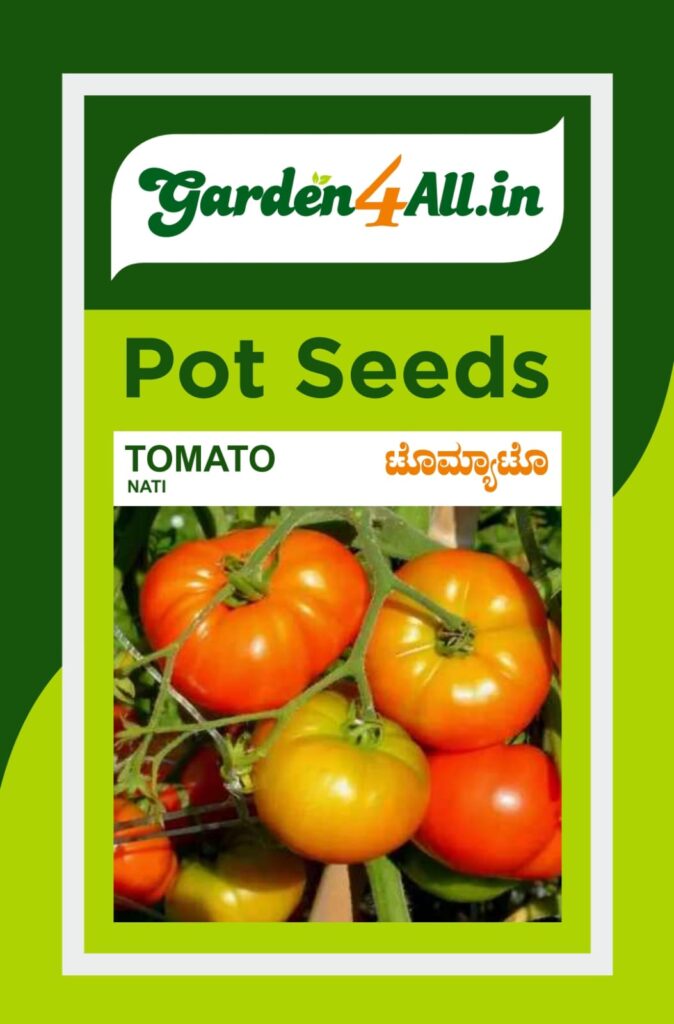 TOMATO SEEDS - Non hybrid or Nati or Local