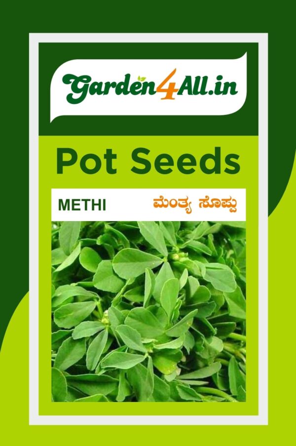 METHI SEEDS