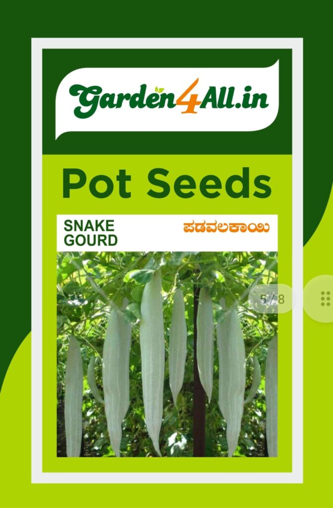 SNAKE GOURD SEEDS