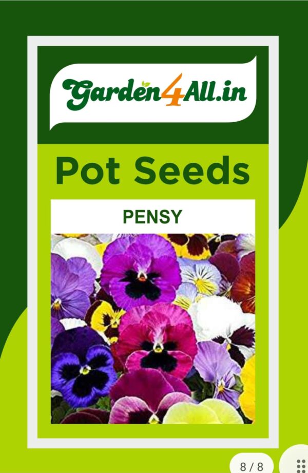 PENSY FLOWER SEEDS