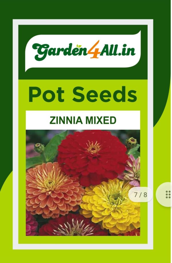 ZINNIA MIXED FLOWER SEEDS