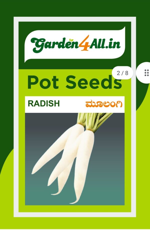 RADISH SEEDS