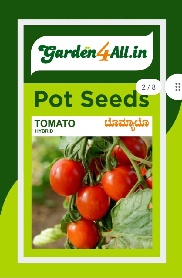 TOMATO SEEDS - hybrid
